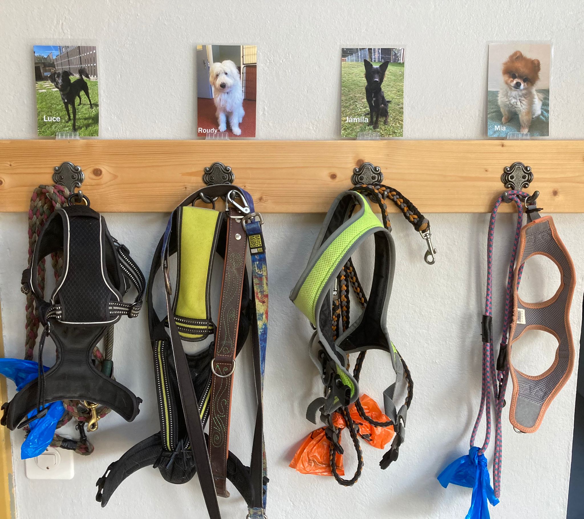 Ordnung muss (manchmal) sein