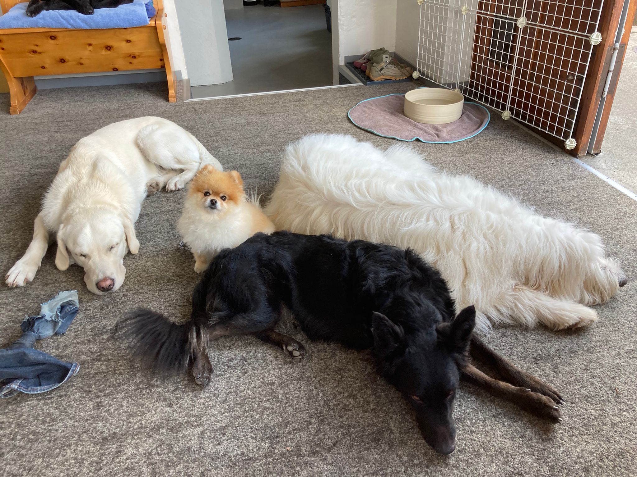 Mia, jetzt wäre Mittagspause...