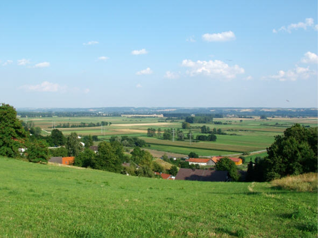 Blick auf das Königsauer Moos