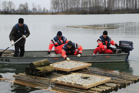 Die Helfer von der Wasserwacht, von links: Rupert Steinbrückner, Karl Heinz Grosch, Roland Schmidt und Michael Mora (Foto: Joachim Aschenbrenner)