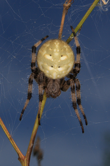 Fotos: Michael Herzig