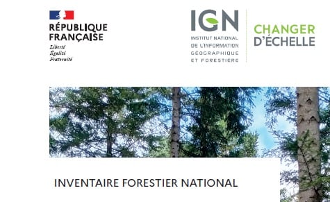 Comment vont les forêts françaises en 2023?