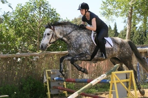 ... und auch kleine Springübungen sind möglich