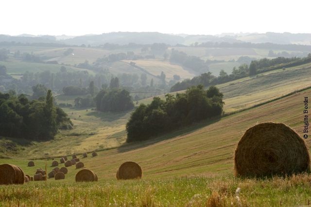 Champs sous le soleil
