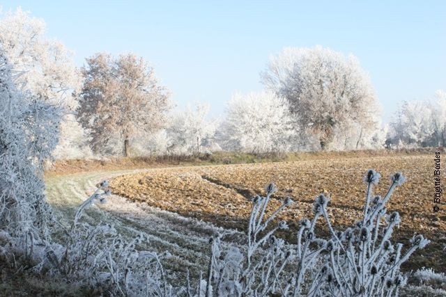 Chemin en bord de Save