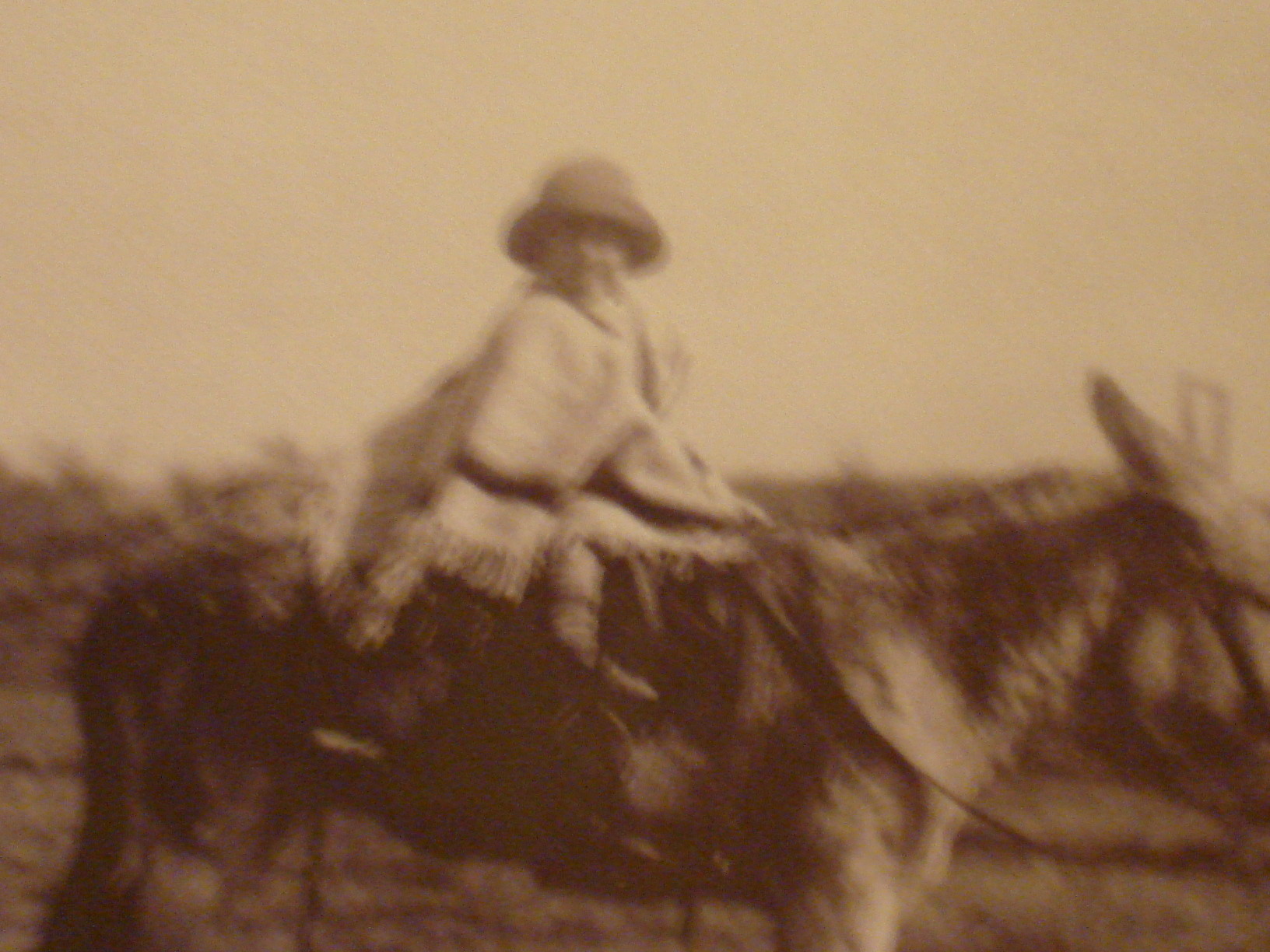 Museo Casa de Ernesto Che Guevara