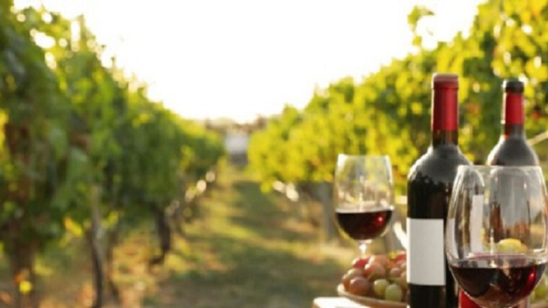 Enoturismo en Buenos Aires