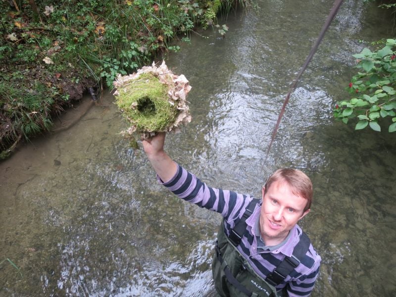 Höchstwahrscheinlich ein Bruterfolg: ein neues Wasseramselnest am Ende der Brutzeit