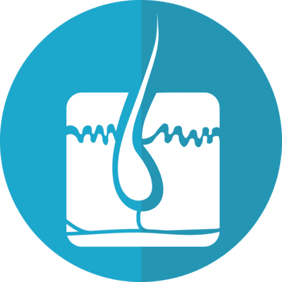 La bulle d'hair, photo d'un bulbe de cheveu