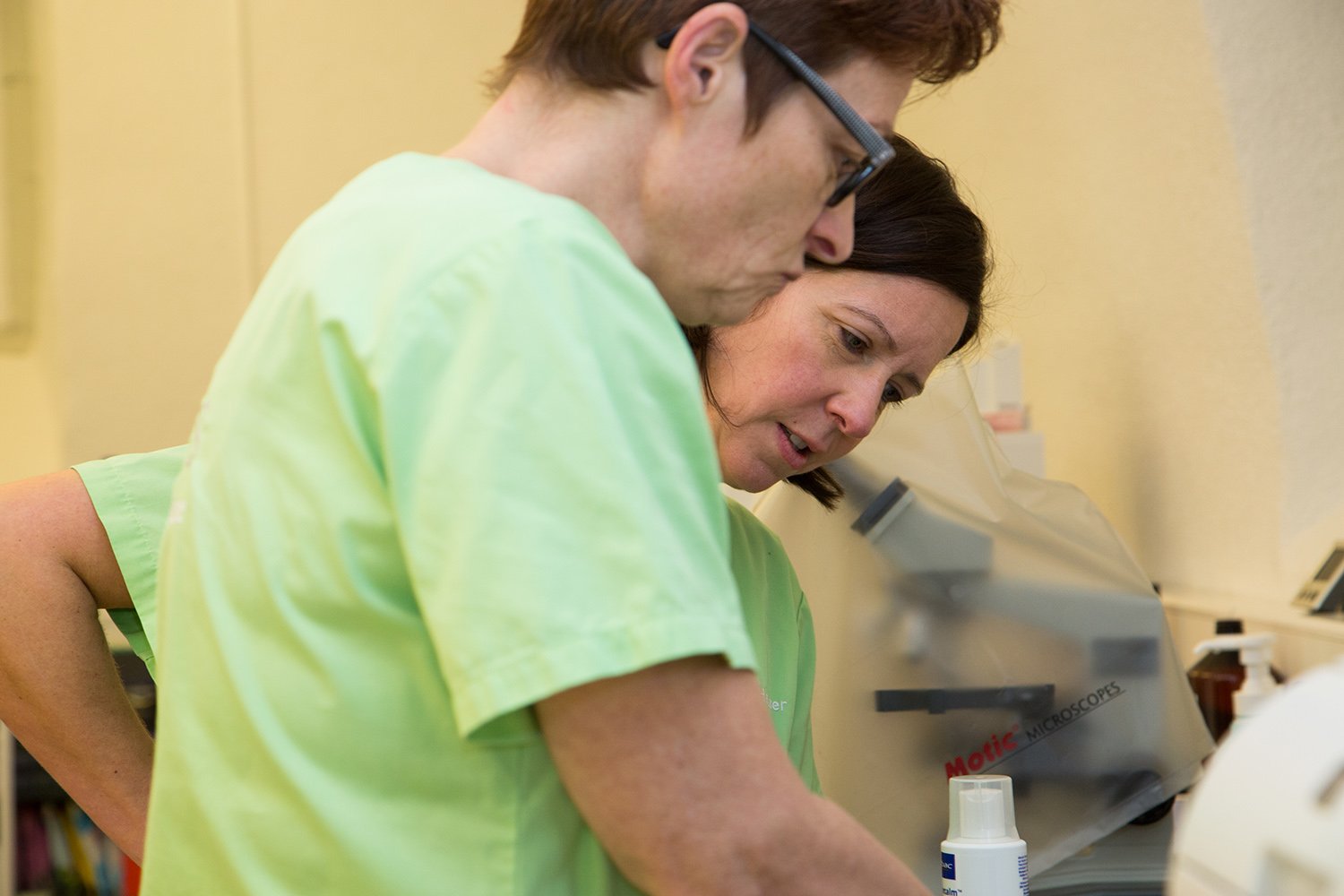 Die Gesundheit Ihrer Haustiere...