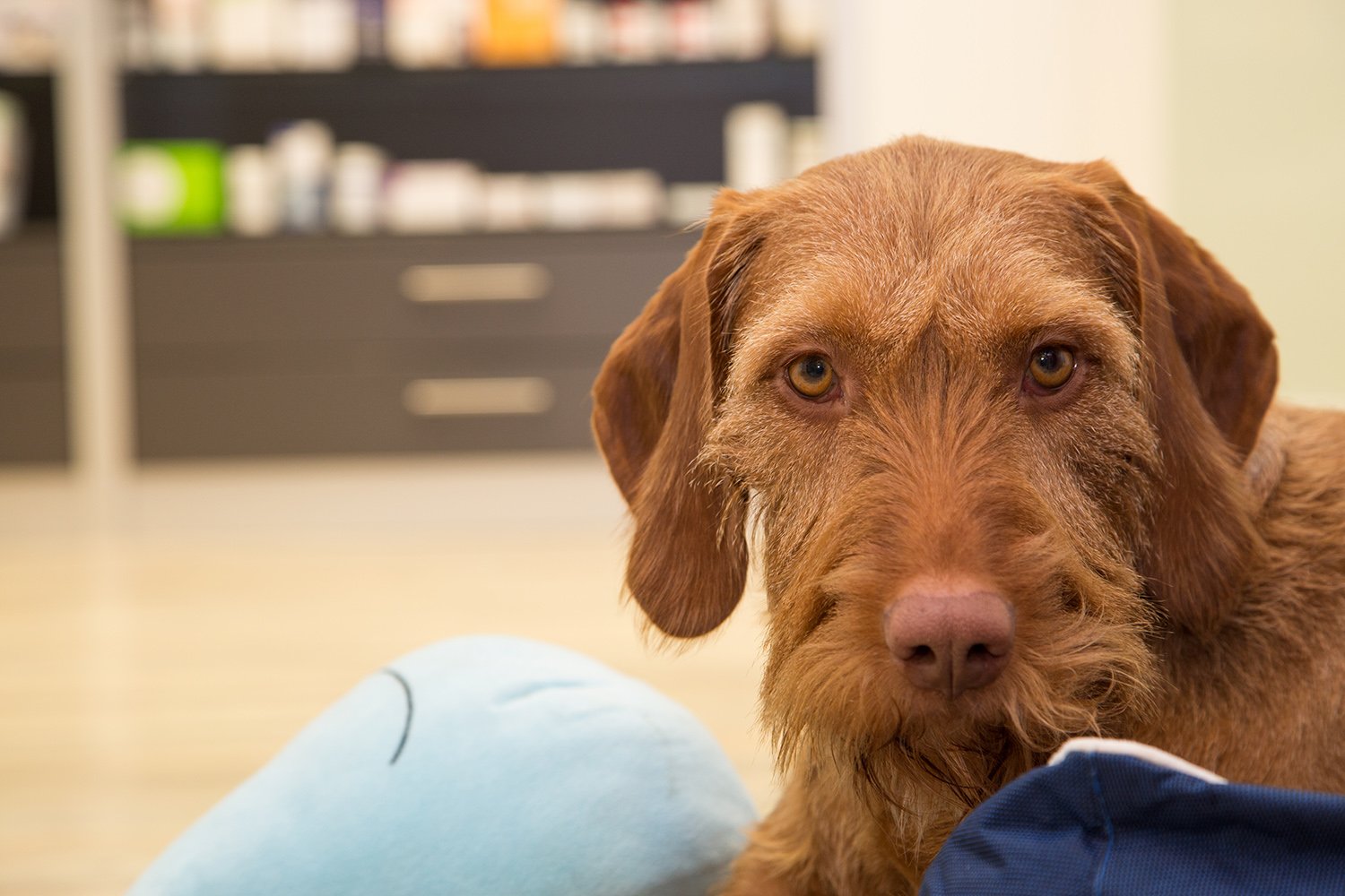 ...liegt uns sehr am Herzen.