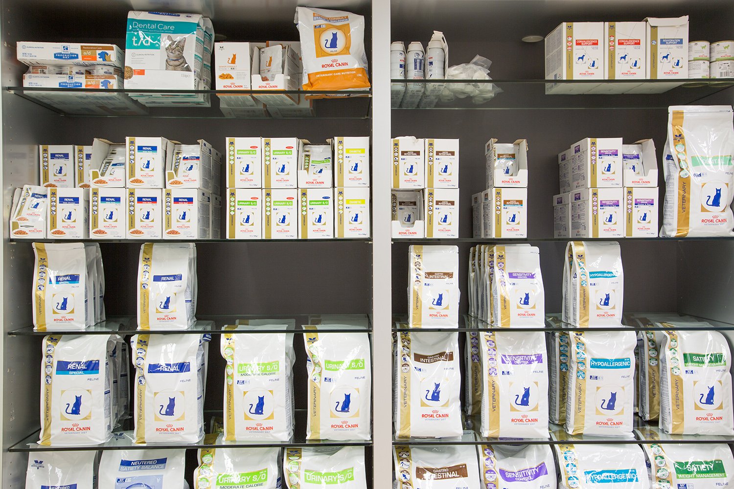 ...an qualitativ hochwertigem Futter diverser Marken studieren.