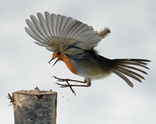 Eerst landen, dan pas spreken
