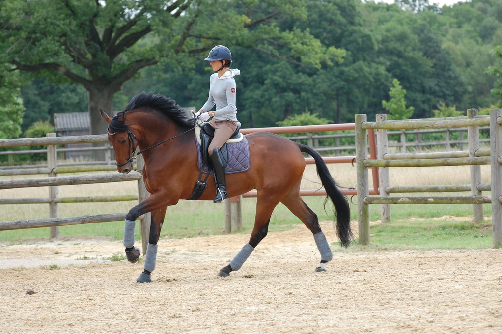 RONALDINHO 17 travail Les Bréviaires 2011