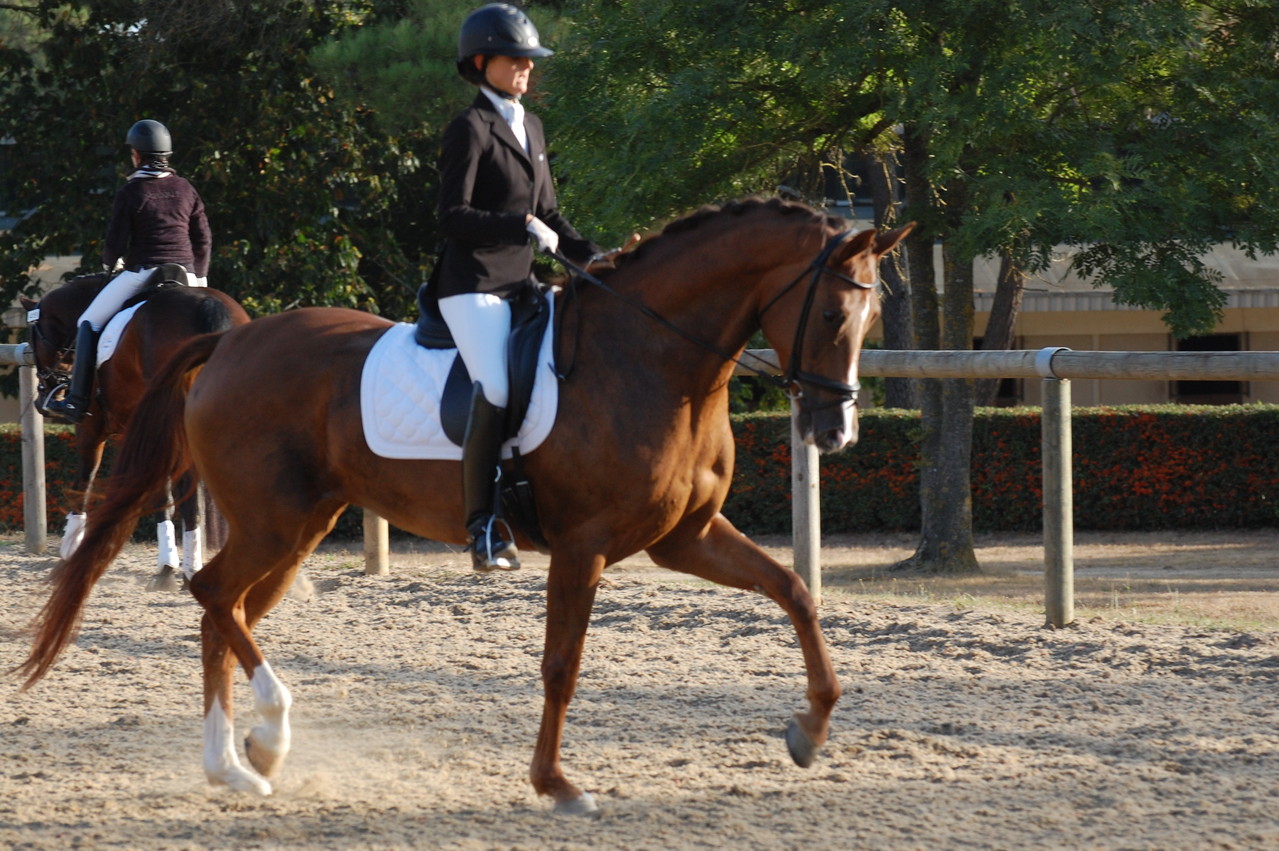 DARISKA du LOUP PENDU