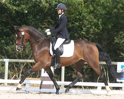 CUBA Champion des 3 ans Saumur 2010