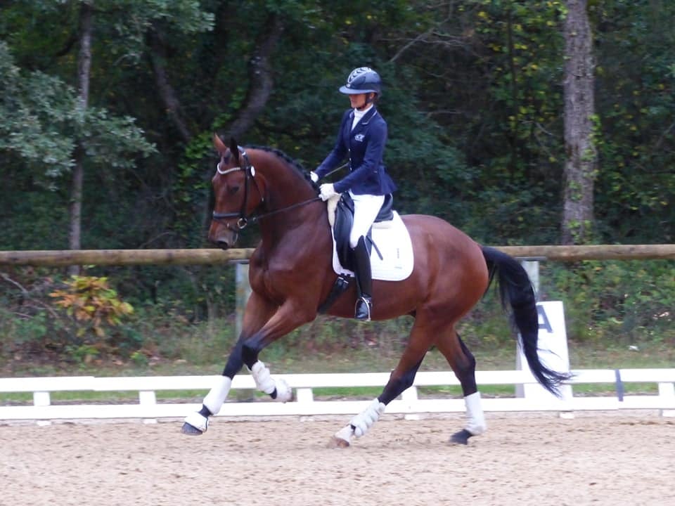 Loxley, gagnant des 3 ans 2019