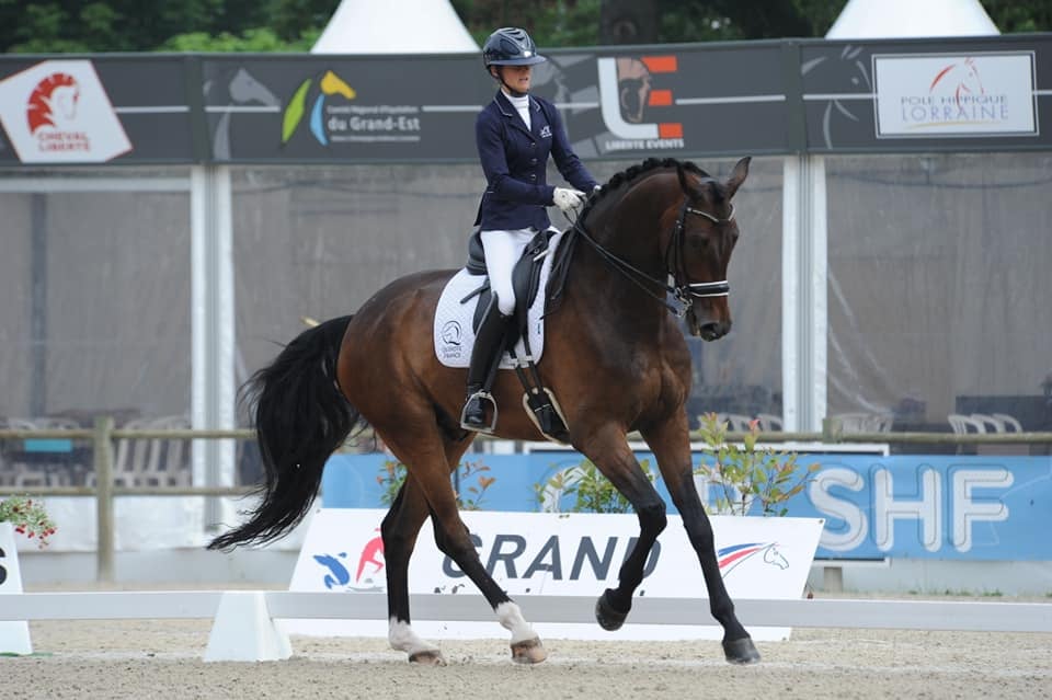 Schabernak, finale des 6 ans Saumur 