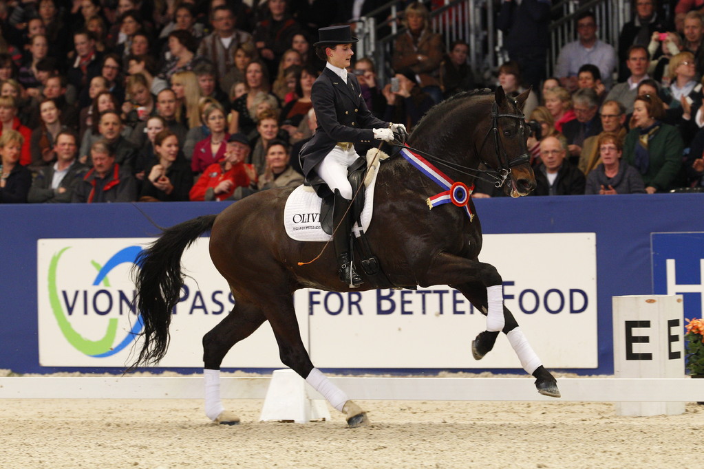 OLIVI labellisé "KEUR" par le KWPN ! Guest Star du KWPN Stallion Show à S'Hertogenbosch(NED)