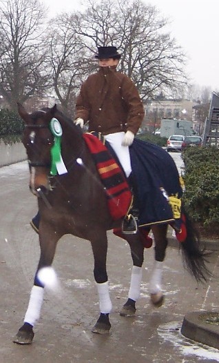 FLIPPER D'OR ENE HN CDI Elmshorn (GER)