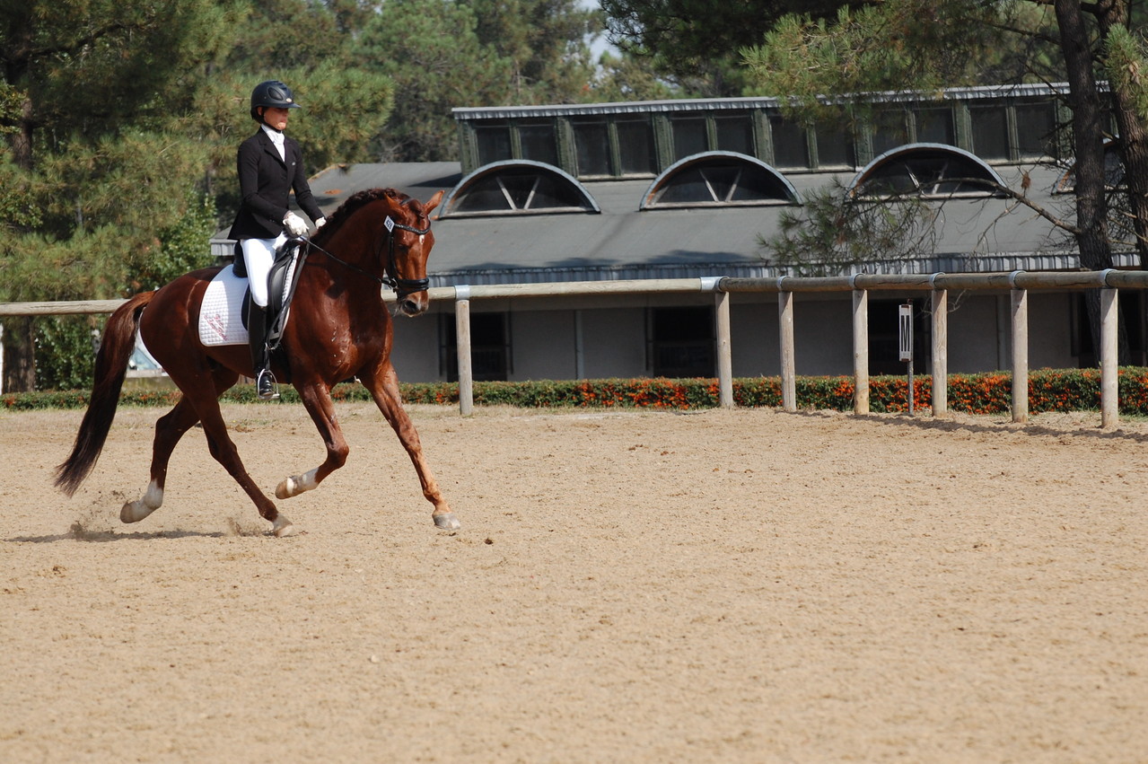 DISCOUNT du LOUP PENDU