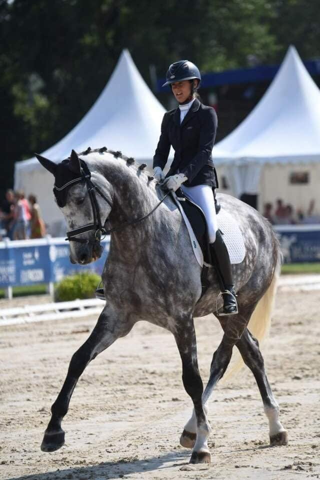 Flair Royal, gagnant des 6 ans Saumur