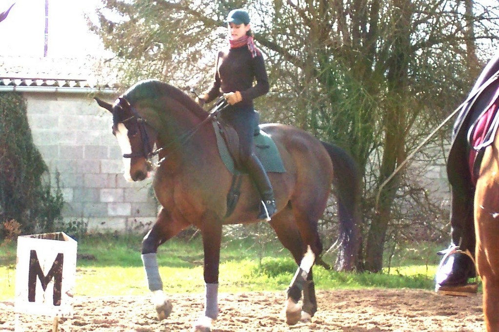 ROBIN VAN'T DASHAEGUEVELD