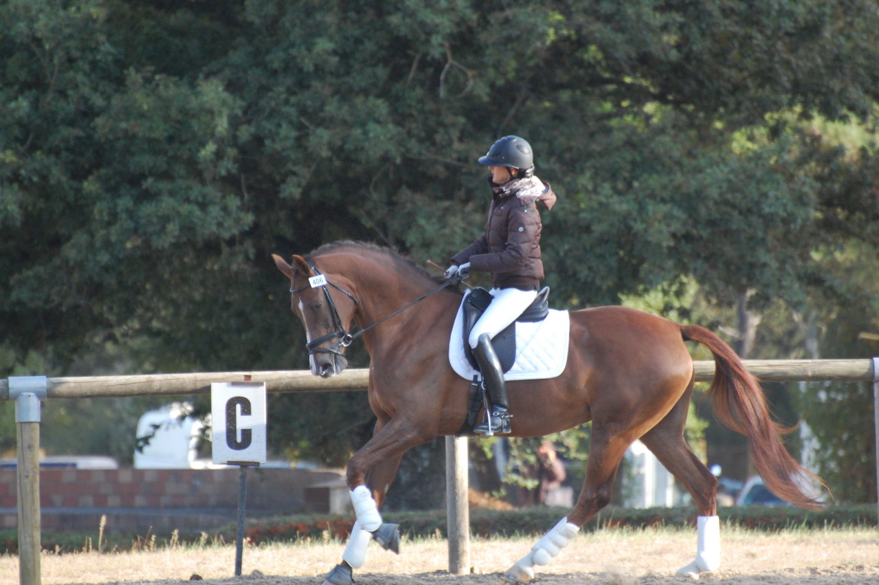 DARISKAdu LOUP PENDU