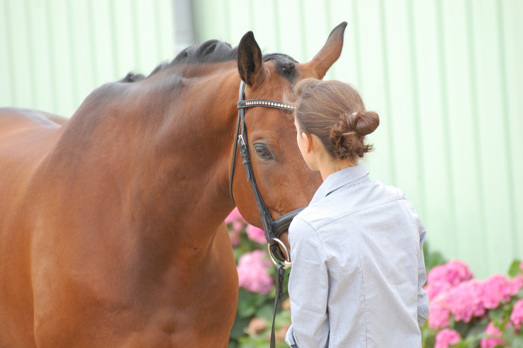 RONALDINHO 17 visite véto CDI YH Vierzon 2011