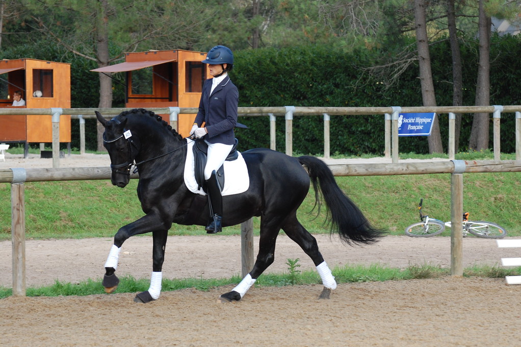 CUPIDO PB finale 4 ans Saumur 2011
