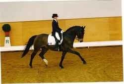 Maxime Flipper d'Or ENE