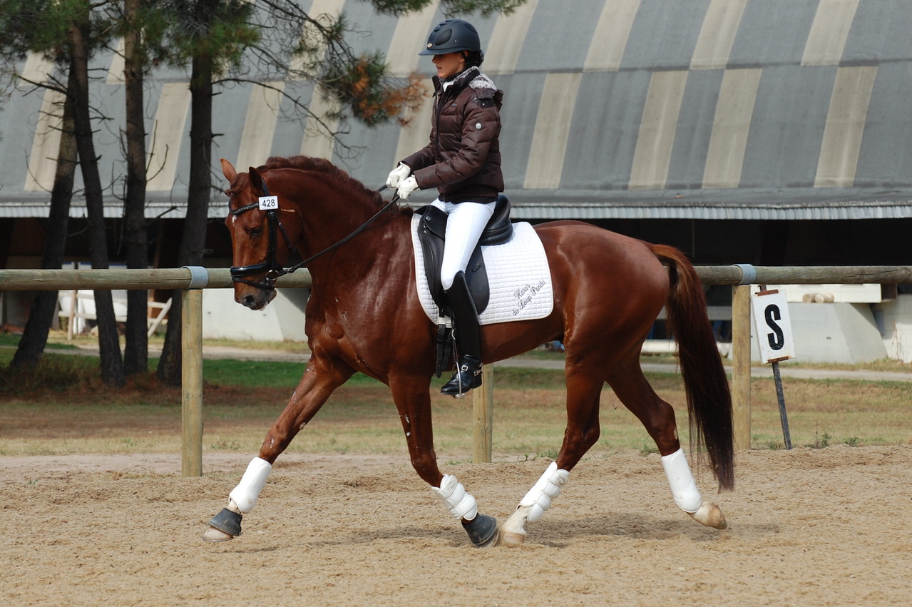 DISCOUNT du LOUP PENDU