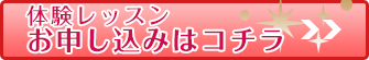 ベリーダンス体験レッスン!(国分寺・吉祥寺・立川・八王子・東村山 久米川)