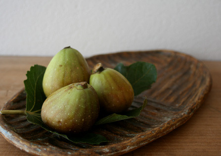 イチジク　／　凸凹楕円皿