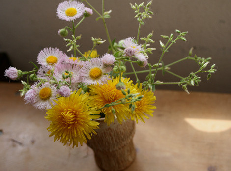 ハルジョオン、たんぽぽ　／　竹形ビアカップ