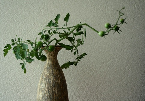 トマトの枝　／　きのこシリーズ花入れ