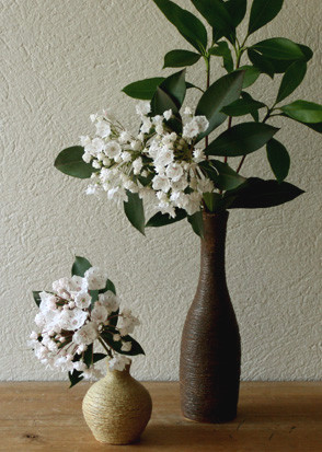 カルミア　／　横掻き落とし一輪挿し