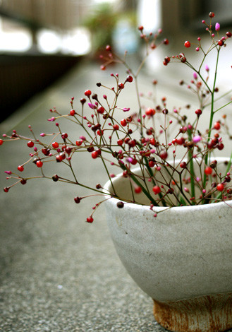 ハゼラン／　白いボウル