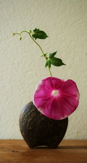 朝顔　／　一輪挿し・カタツムリ