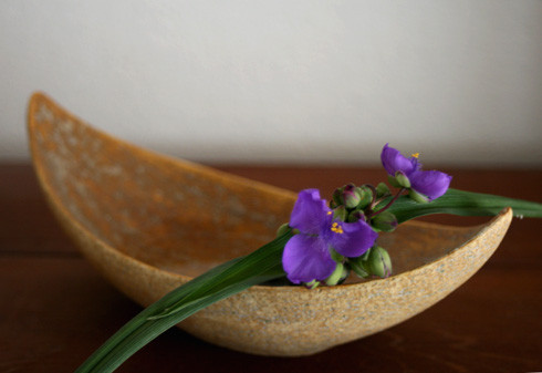 紫ツユクサ　／　月形鉢