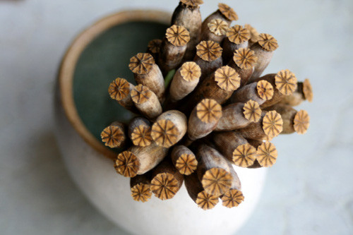 ナガミヒナゲシの種　／　卵型深小鉢