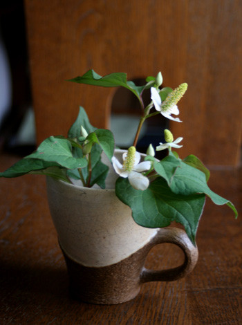 どくだみ　／　波文掻き落としマグカップ