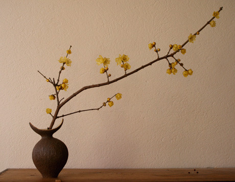 蝋梅　／　月の花入れ・茶