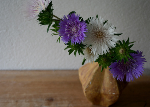 矢車菊　／　星形花入れ