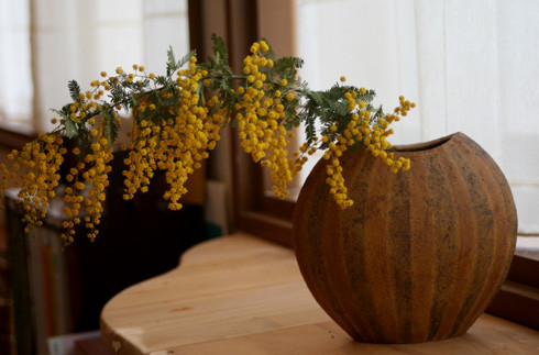 ドライミモザ　／　満ち欠けする月型花入れ