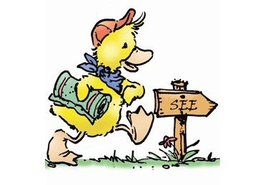 Gehe nur zum Baden, wenn du dich wohl fühlst. 