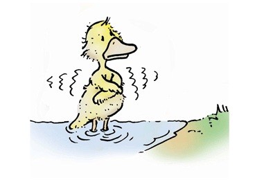 Verlasse das Wasser sofort, wenn du frierst. 