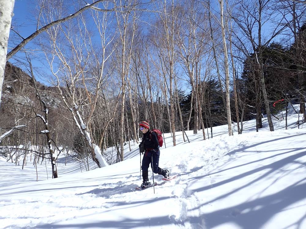 静かな森の中のスノーシュー歩き
