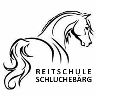 Reitstunden Schluchebärg, Rafz, Entspannungsritte, Reitstunden, Ausritte, Haflinger, Fellsattel, Schweiz, Luzia Schweizer