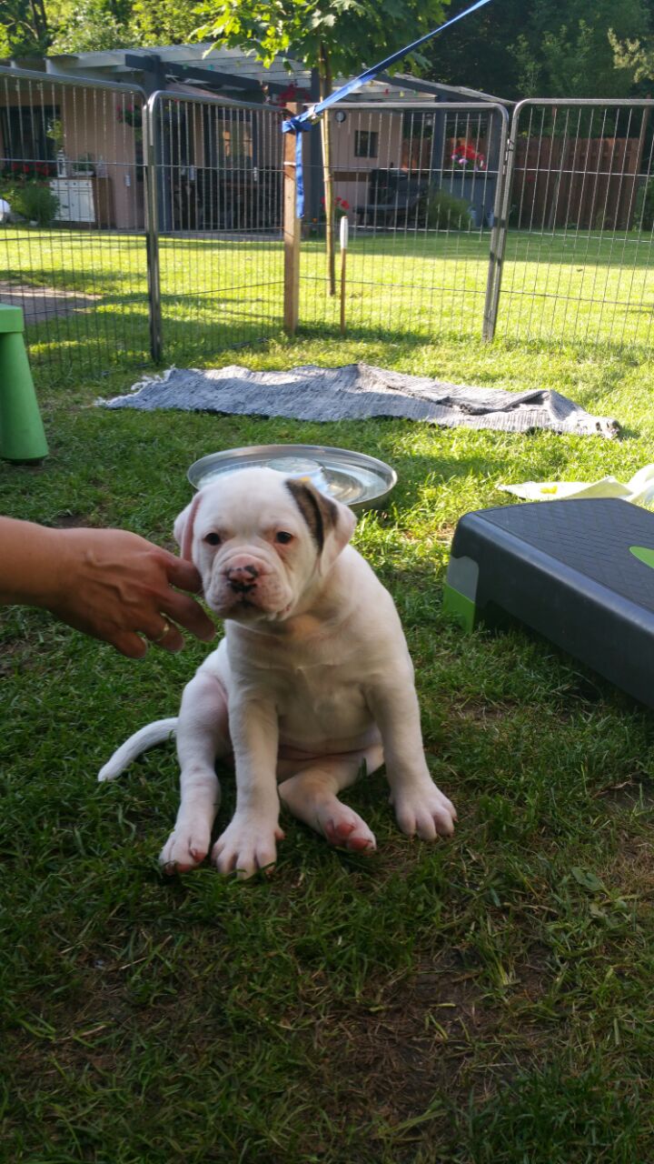 Quelle Foto Cornelia Scholze-Gotthardt